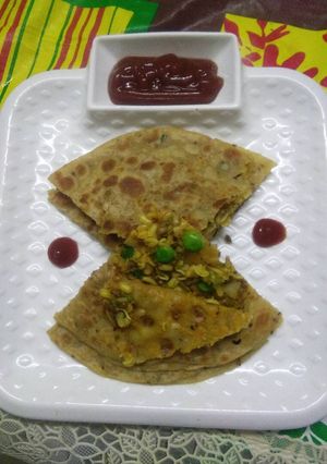 A picture of Sprouts paratha.