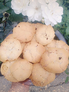عکسی از دستور شیرینی کشمشی😋
