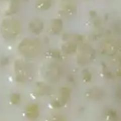 A picture of साबूदाणा खीर.