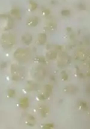 A picture of साबूदाणा खीर.