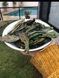 Chips de Kale