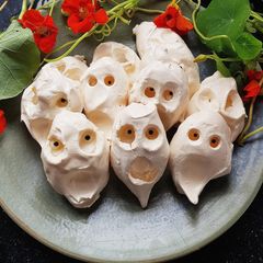 A picture of Scary Scream meringues.
