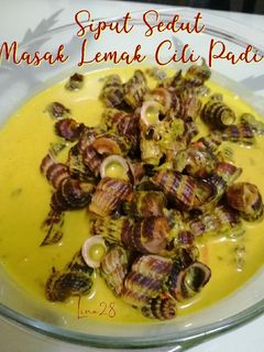 Gambar Siput Sedut Masak Lemak Cili Padi