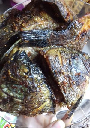 Foto resep Mujair Goreng