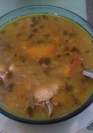 Foto resep Sup ayam seger begizi