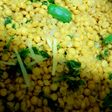 Chanay ki bhunni daal