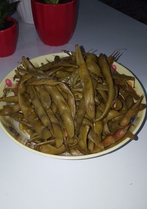 عکسی از دستور لوبیا تازه😋😋