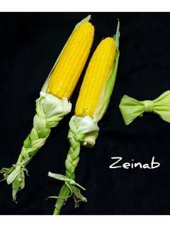 عکسی از دستور بلال آبپز