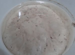 Foto resep Sari pati ayam (chicken essense)