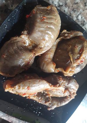 A picture of Gizzard.