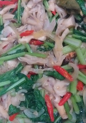 Foto resep Tumis Jamur Tiram dan Sawi