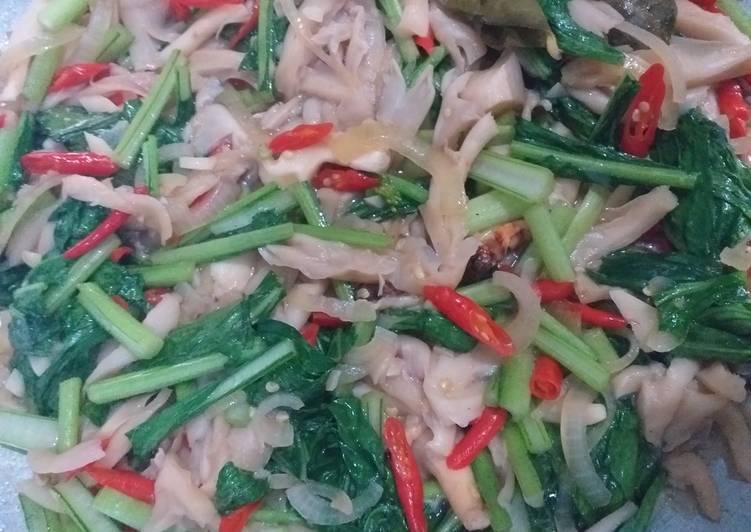 Resep Tumis Jamur Tiram dan Sawi, Lezat