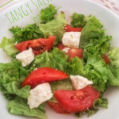 A picture of 3 colour Tangy Salad.