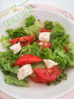 A picture of 3 colour Tangy Salad.