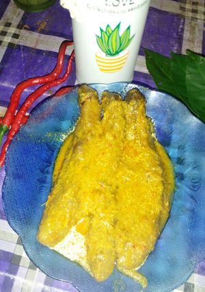 Foto resep Opor terong ungu