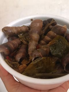 Hình của món Ốc Đinh(ốc Dùi) xào sả ớt đặm đà.