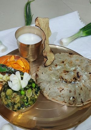 ભરથું (Bharthu Recipe in Gujarati) રેસીપી મુખ્ય ફોટો