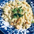 White sauce pasta