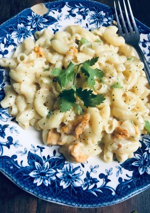 A picture of White sauce pasta.