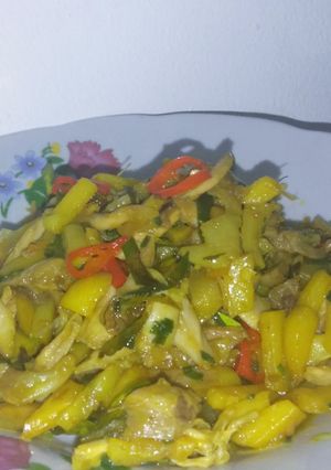 Foto resep Ayam Suwir Kentang Bumbu Kuning