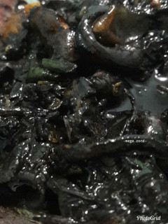 Foto resep Cumi Hitam