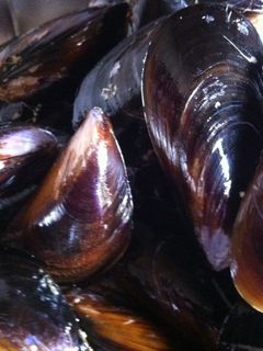 Una foto de Mejillones al vapor con vinagretas