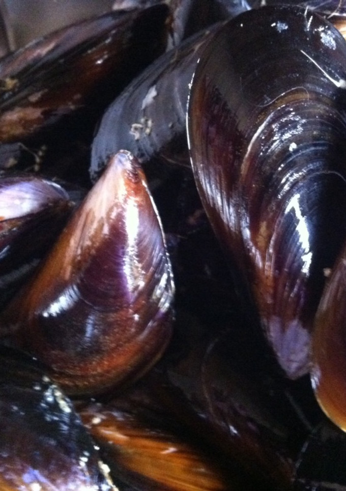 Una foto de Mejillones al vapor con vinagretas