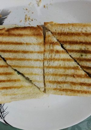 વેજીટેબલ ચીઝ મેયોનીઝ સેન્ડવીચ (Vegetable Cheese Mayonnaise Sandwich Recipe In Gujarati) રેસીપી મુખ્ય ફોટો