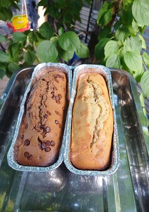 Una foto de Budín!