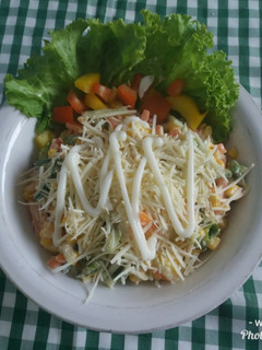 Foto resep Salad Sayur
