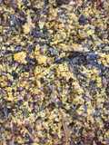 Maize meal with pigeon beans