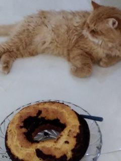 عکسی از دستور کیک ساده وانیلی(vanilla cake)