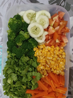 Foto resep Salad Sayur