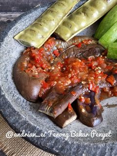 Foto resep Terong Bakar Penyet