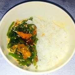 A picture of Kangkung keju.
