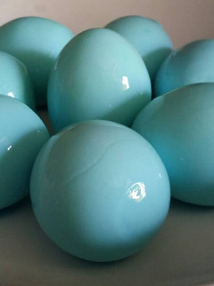 Una foto de Huevos de colores