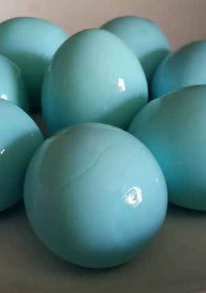 Una foto de Huevos de colores