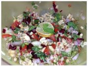 A picture of crushed pudina