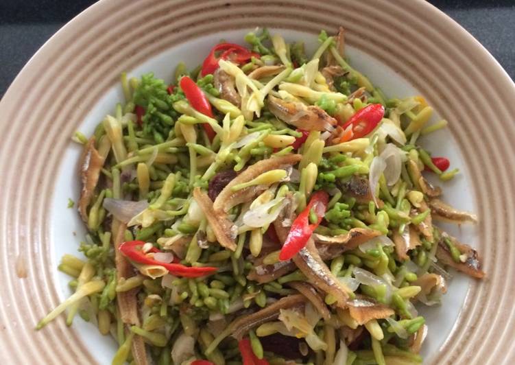 Resep Tumis bunga  pepaya  oleh suti susanti Cookpad