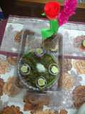 Mix saag