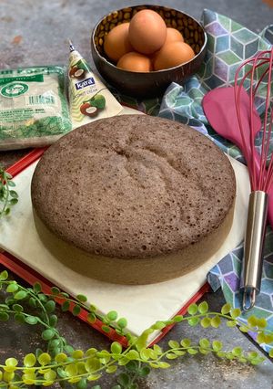A picture of Steamed Black Glutinous Rice Cake.