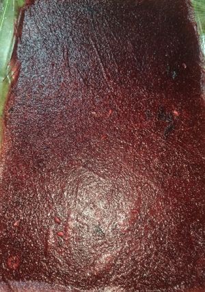 عکسی از دستور لواشک انار