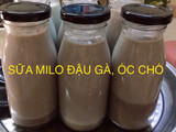 Sữa milo phiên bản sữa hạt