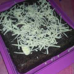 Brownis 6 sendok রেসিপির প্রধান ছবি