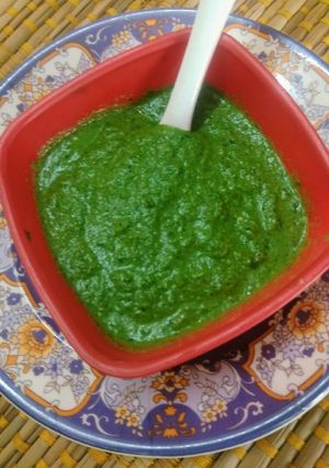 A picture of Fresh Garlic Chutney.