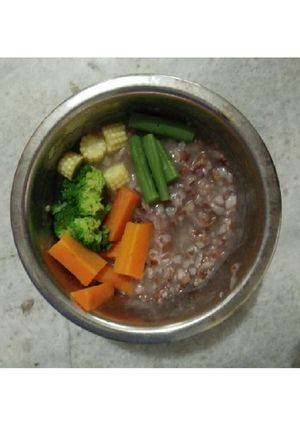 Foto resep MPASI Bubur Beras Merah Kaldu Daging dan Sayuran 9+ m