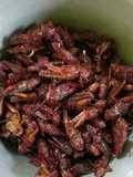 Belalang Goreng Renyah