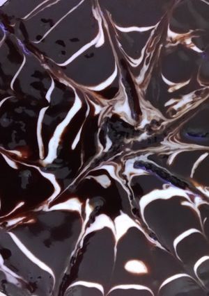 A picture of Chocolate Cake.