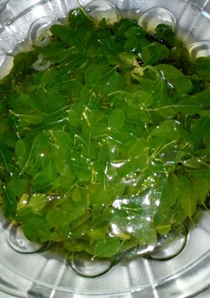Foto resep Sayur Bening Kelor