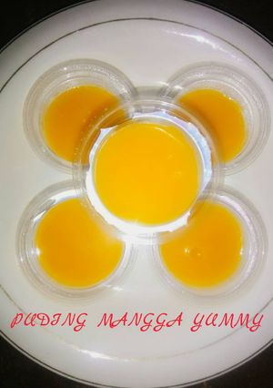 Foto resep Puding Mangga Yummy